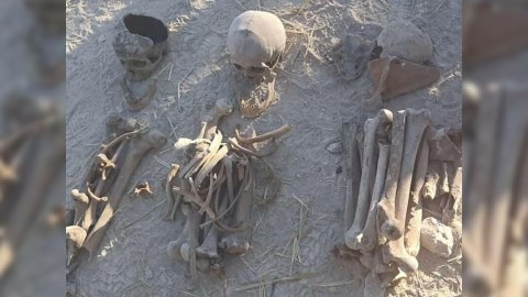 Ermənistan Azərbaycana 100 nəfərin meyit qalıqlarını verib - RƏSMİ