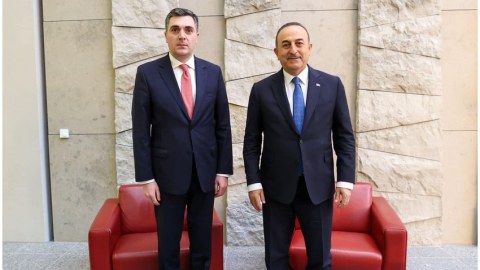 “Gürcüstanın ərazi bütövlüyünə dəstəyimiz tamdır” - Çavuşoğlu