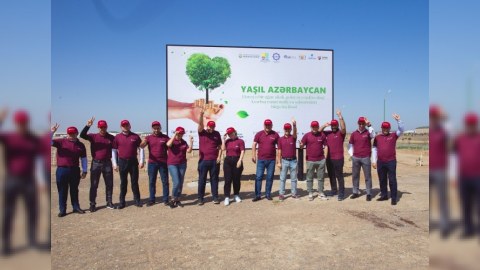 Kapital Bank əməkdaşları ağacəkmə aksiyasında - FOTO