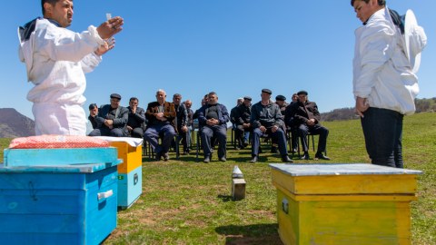 Daşkəsəndə arıçı fermerlərə təlimlər keçirilib