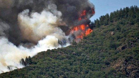 Nazirliklər yanğın təhlükəsilə bağlı hərəkətə keçdi