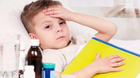 Azərbaycanda yeni virus TƏHLÜKƏSİ – “İnsanları təşvişə salırlar”