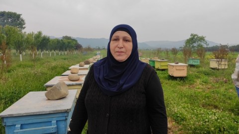Cehiz apardığı arıların hesabına seçilən bal markası yaratdı - REPORTAJ