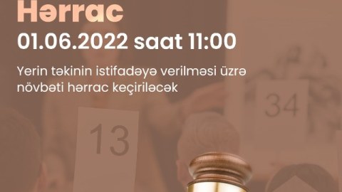 Faydalı qazıntı yataqları hərraca çıxarılır
