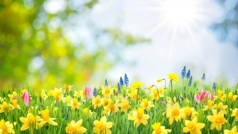 Mayın hava proqnozu - 36 dərəcə İSTİ