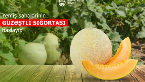 Yemiş sahələrinin güzəştli sığortası başlayıb