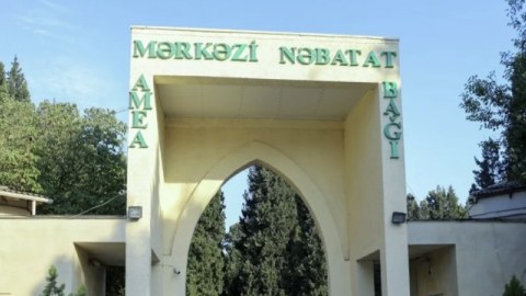 Mərkəzi Nəbatat Bağındakı qanunsuz tikililər SÖKÜLÜR