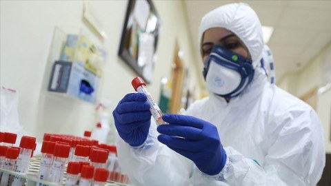 11 yeni yoluxma - Bu gün də ölən yoxdur
