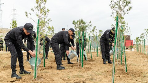 Polislər ağac əkdilər - FOTO