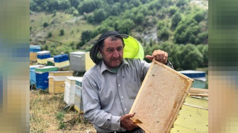 “Bu işin sirrini heç kim öyrənə bilməz” - Kəlbəcərə köç edən məşhur arıçı ilə MÜSAHİBƏ