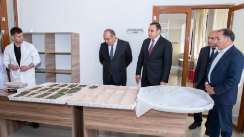 Kümçülərə ipəkqurdu toxumunun paylanması başa çatıb - FOTOLAR