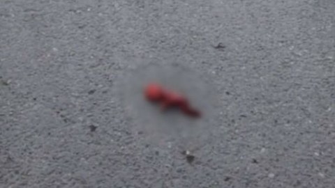 Ölmüş dölü bağ evinə atan qadın SAXLANILDI