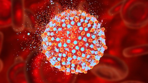22 ölkədə naməlum hepatit aşkarlanıb - ÜST