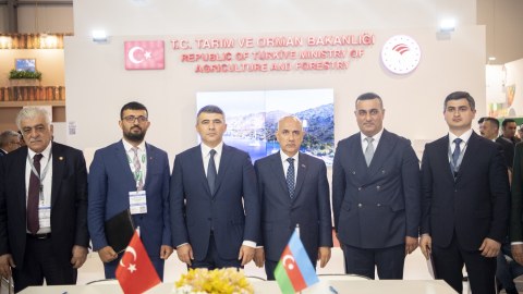 Azərbaycanlı mütəxəssislər təlimlərə cəlb olunacaq