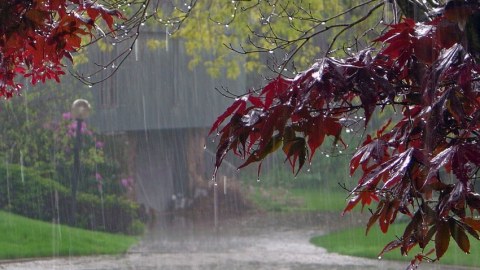 Temperatur enəcək - Yenə yağış yağacaq