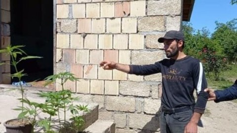 Şabranda narkotacir saxlanıldı