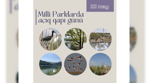 Sabah milli parklarda 