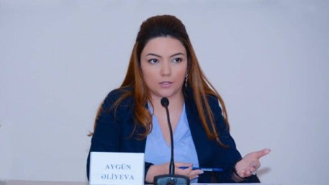 QHT-lərlə bağlı vəziyyət qənaətbəxş deyil - Aygün Əliyeva