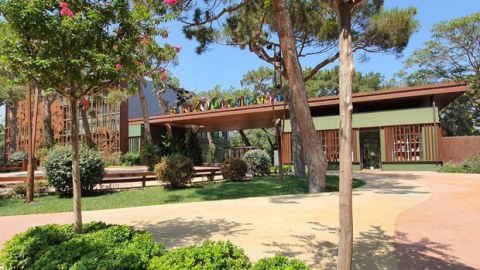 Bakı Zooloji Parkında 1 iyun şənliyi