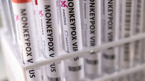 Meymunçiçəyi bu ölkəyə də çatdı