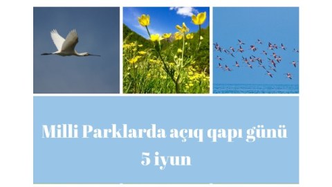 Bu gün milli parklarda "açıq qapı" günü keçiriləcək 