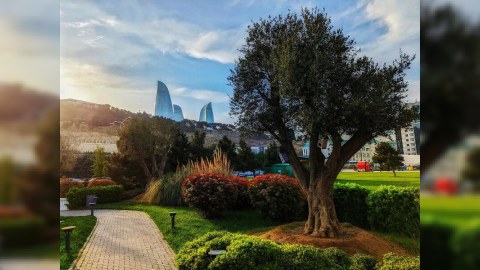 Bu gün 39 dərəcə isti olacaq