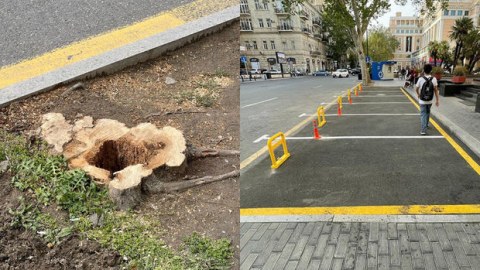Qanunsuz parklanma Prezidentin göstərişilə LƏĞV EDİLDİ