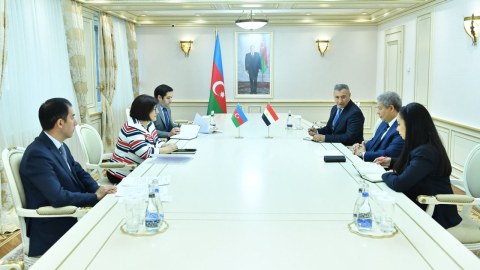 Sahibə Qafarova Misir səfirilə görüşdü