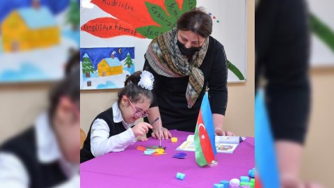 Bakıda 500-ə yaxın şagird fərdi təhsilə cəlb edilib