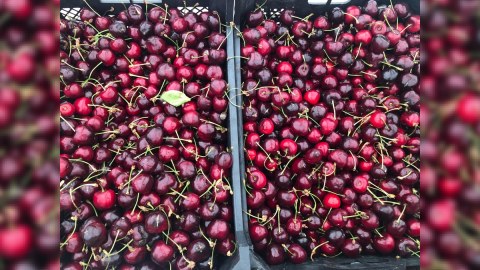 Həftəsonu “Kənddən Şəhərə” yarmarkaları təşkil olunacaq