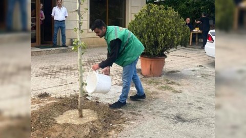 Ağacların qurudulmasının qarşısı alındı