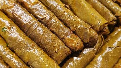 Ermənistan dünyada ən uzun dolma hazırlayacaq