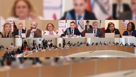Xarici ekspertlər Bakıda maraqlı məqamlara toxunublar