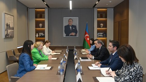 “Azərbaycan hesabat verən yeganə ölkədir” - Tatyana Valovaya
