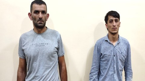 Lənkəranda qoyun oğruları tutuldu