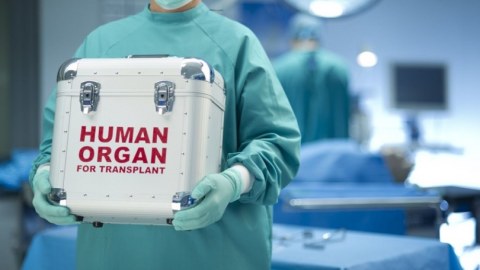 Orqan Transplantasiyası Mərkəzinin nizamanaməsi hökumətə təqdim edilib