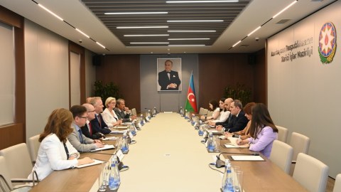 Nazir Avropa Şurasının rəsmisilə görüşdü