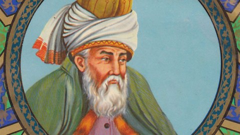 Mövlanənin boyu və çəkisi məlum oldu
