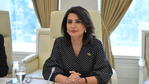 “Qazilər bütün qurumların qapısını döyür” - Jalə Əliyeva