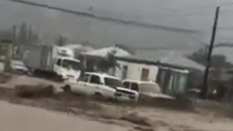 FHN selin fəsadları barədə məlumat YAYDI