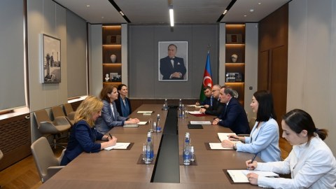 “Azərbaycan sülhün təmin olunmasında qətiyyətlidir” - Nazir