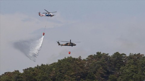 Türkiyədə meşə yanğınları nəzarətə alındı