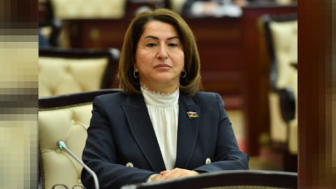 Daha bir deputata vəzifə verildi