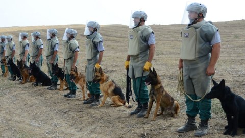 Azərbaycan daha 5 minaxtaran it alır