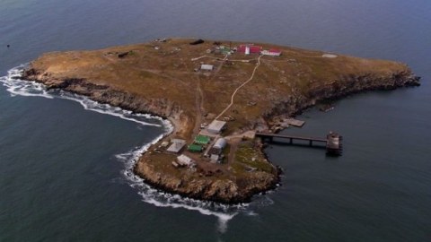 İlan adasında Ukrayna bayrağı qaldırıldı
