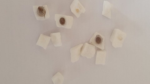 Həbsxanaya qəndin içində narkotik keçirmək istədi