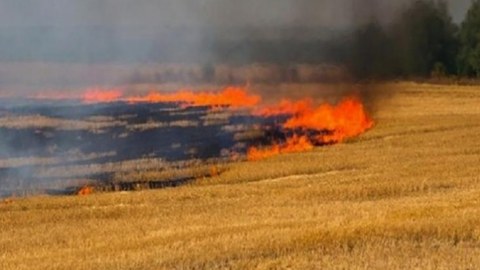 FHN Şabrandakı yanğınla bağlı yeni məlumat yaydı - YENİLƏNİB