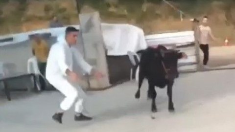 Qurbanlıqların maraqlı görüntüləri - FOTOLAR