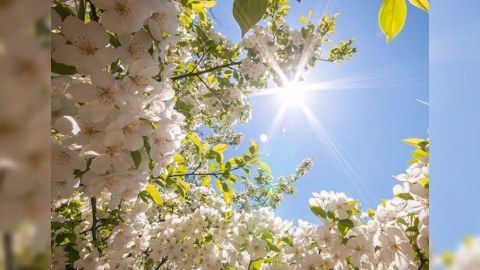 Temperatur 42 dərəcəyədək artacaq