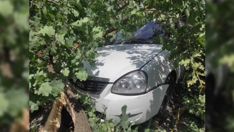 Xaçmazda ağac maşının üstünə aşdı